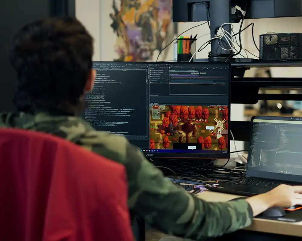 Capturing the essence